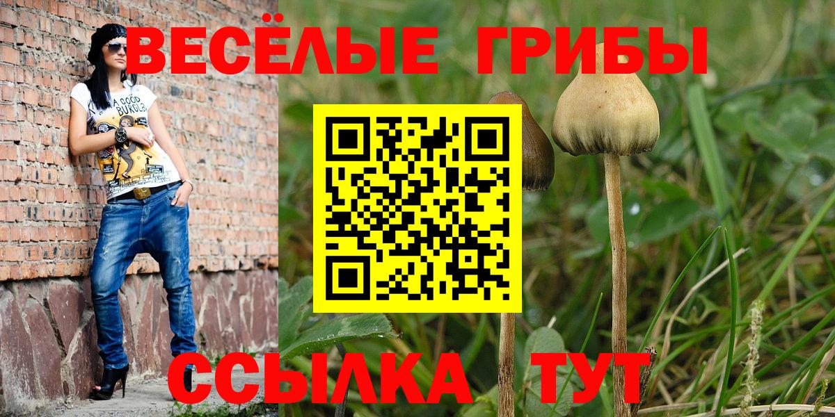 Псилоцибиновые грибы Psilocybine cubensis Сочи
